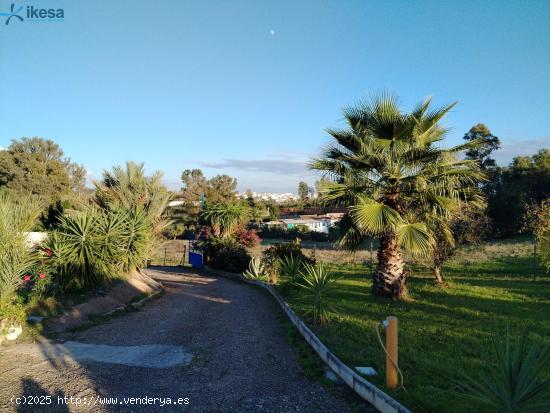 VENTA DE FINCA EN GIBRALEON, HUELVA - HUELVA