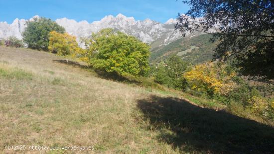 Venta terreno rústico ubanizable - CANTABRIA