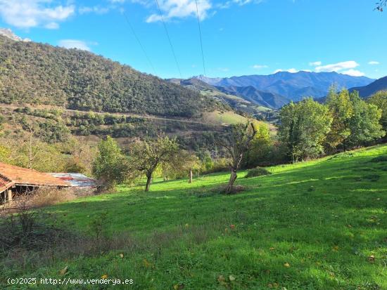 Terreno urbanizable en Picos de Europa - CANTABRIA