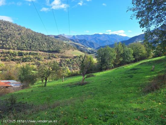 Terreno urbanizable en Picos de Europa - CANTABRIA