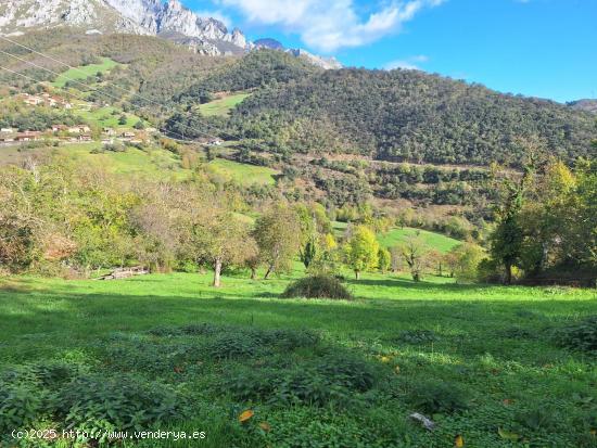 Terreno urbanizable en Picos de Europa - CANTABRIA