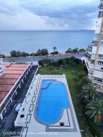  ALQUILER DE VIVIENDA CON VISTAS AL MAR ZONA ALBUFERETA EN URBANIZACIÓN - ALICANTE 