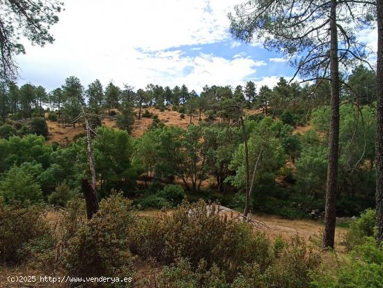 Terreno urbanizable más de 5.000 m2 en Santa María de la Alameda - MADRID