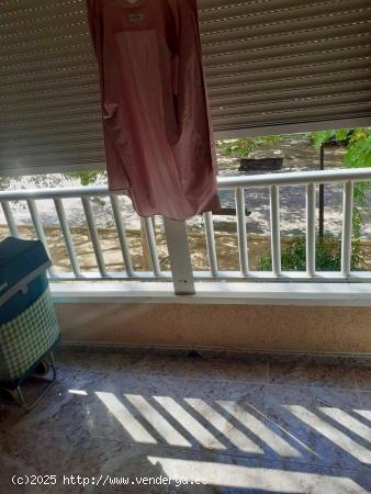 SE VENDE APARTAMENTO DE 2 DORMITORIOS EN EL ACEQUION, CINTA LA SAL TORREVIEJA ALICANTE - ALICANTE