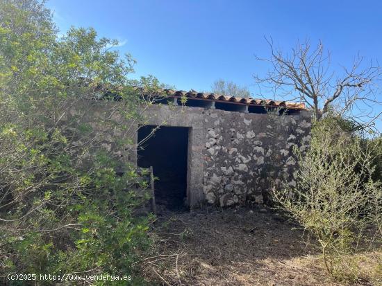  FINCA CON CASA PARA REFORMAR EN ARIANY - BALEARES 