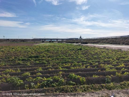  TERRENO RUSTICO EN HUERTA DE COX - ALICANTE 