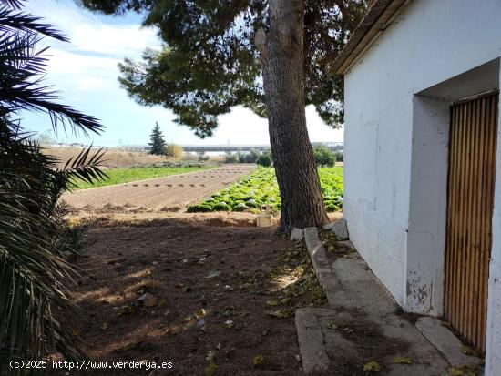 TERRENO RUSTICO EN HUERTA DE COX - ALICANTE