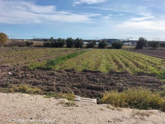 TERRENO RUSTICO EN HUERTA DE COX - ALICANTE