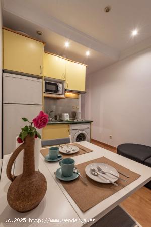  Apartamento entero de 1 habitaciones en Madrid - MADRID 