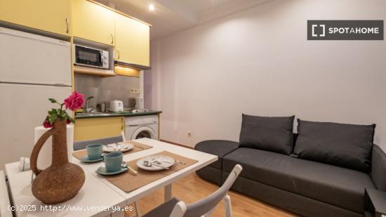 Apartamento entero de 1 habitaciones en Madrid - MADRID