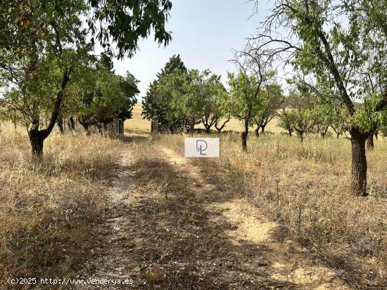 A LA VENTA FINCA EN HERAS DE AYUSO, GUADALAJARA - CANTABRIA