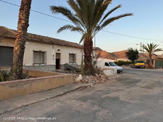  Finca Rústica (Torre Pacheco) - MURCIA 