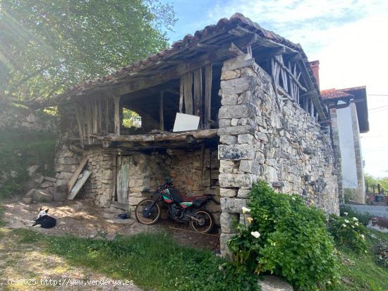  VENTA DE CUADRA CON VISTAS A LOS PICOS DE EUROPA - ASTURIAS 