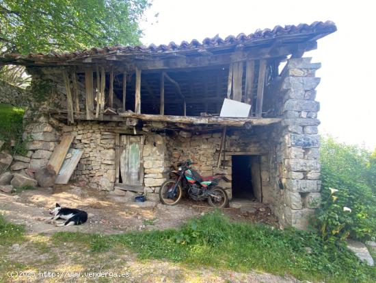 VENTA DE CUADRA CON VISTAS A LOS PICOS DE EUROPA - ASTURIAS