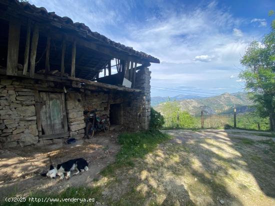 VENTA DE CUADRA CON VISTAS A LOS PICOS DE EUROPA - ASTURIAS