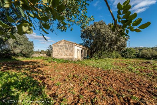 Terreno Rustico con pequeña casa para reformar al este de Petra, Mallorca - BALEARES