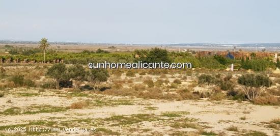 terreno de 10 000m² para construir - ALICANTE