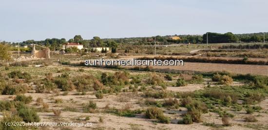 terreno de 10 000m² para construir - ALICANTE