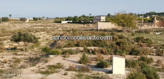 terreno de 10 000m² para construir - ALICANTE