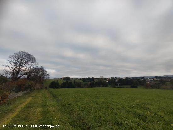 Parcela 5.000m2 urbanizable para proyecto exclusivo - ASTURIAS