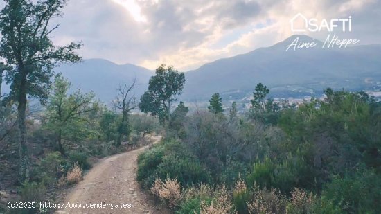 Masía Reconstruible en pleno Bosque y Naturaleza con Vistas Panorámicas.