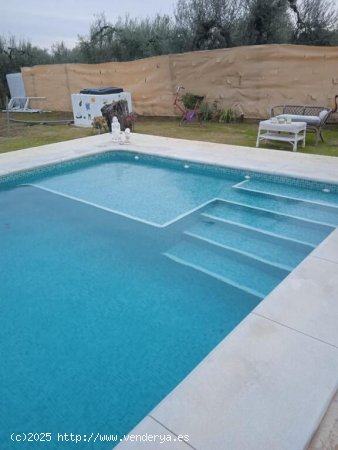 Gran parcela en Aznalcazar con nave y piscina!!!