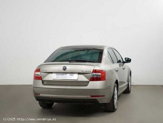 SKODA Octavia ( 1.5 TSI Like DSG )  - Jeréz de la Frontera