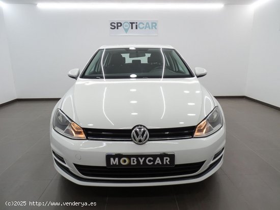 Volkswagen Golf Edition 1.6 TDI BMT - Manises