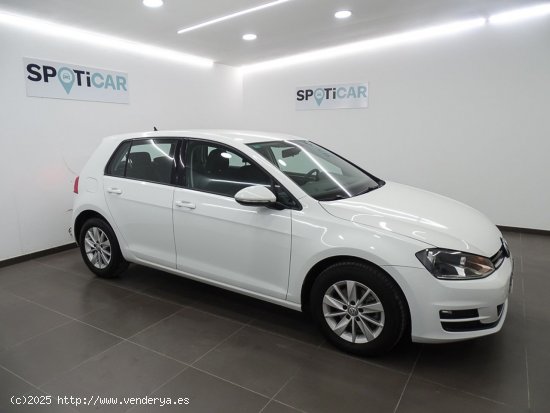 Volkswagen Golf Edition 1.6 TDI BMT - Manises