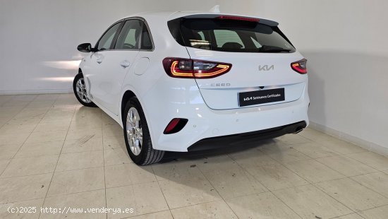 Kia Ceed 1.0 T-GDi 88kW (120CV) Drive - 