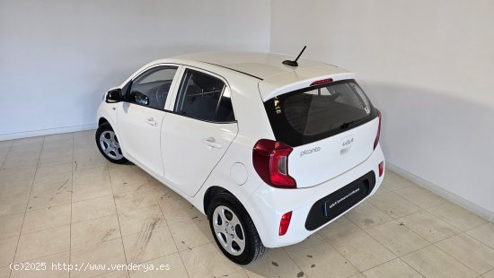 Kia Picanto 1.0 DPi 49kW (67CV) Concept - 