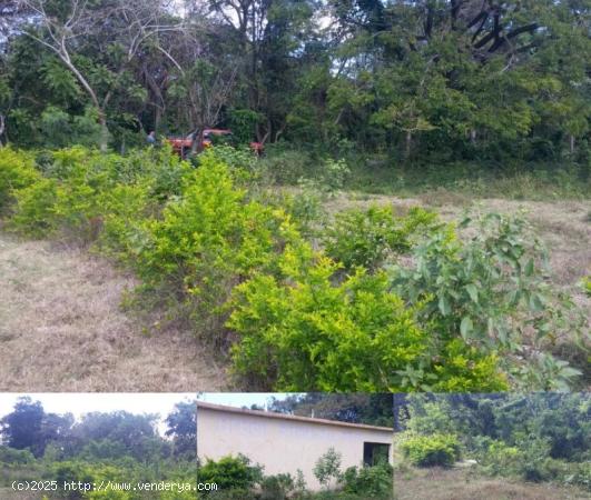 Terrenos en la playa, solares ciudad y fincas en el campo, en venta!