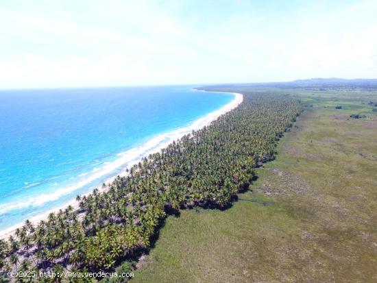 Terrenos en la playa, solares ciudad y fincas en el campo, en venta!