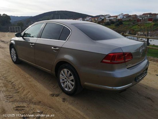 VOLKSWAGEN Passat en venta en Monterrubio de la Serena (Badajoz) - Monterrubio de la Serena