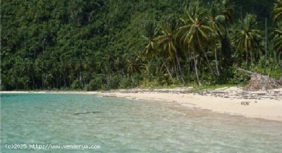 Terrenos lineales a la playa, las terrenas!