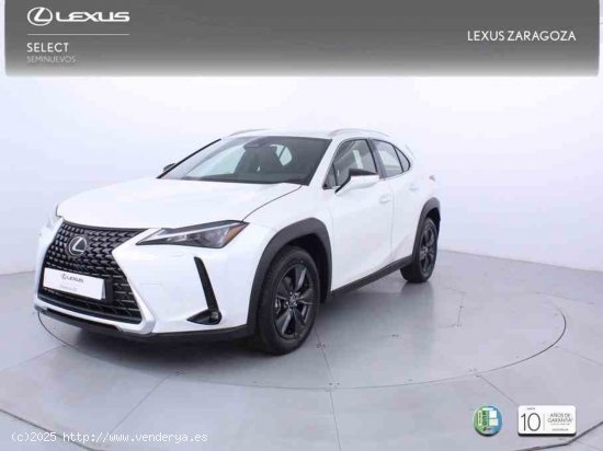  Lexus UX 2.0 300h UX Plus + CARE VO + Pack Boutique Select - Zaragoza 