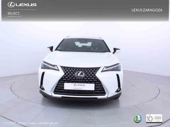 Lexus UX 2.0 300h UX Plus + CARE VO + Pack Boutique Select - Zaragoza