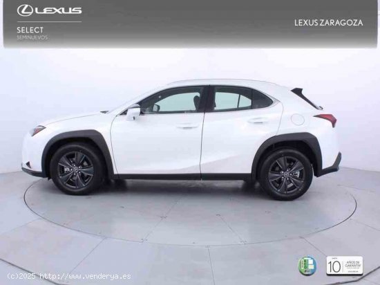 Lexus UX 2.0 300h UX Plus + CARE VO + Pack Boutique Select - Zaragoza