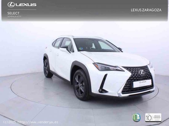 Lexus UX 2.0 300h UX Plus + CARE VO + Pack Boutique Select - Zaragoza