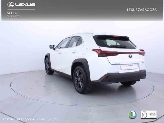 Lexus UX 2.0 300h UX Plus + CARE VO + Pack Boutique Select - Zaragoza