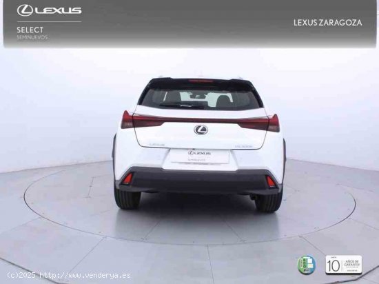 Lexus UX 2.0 300h UX Plus + CARE VO + Pack Boutique Select - Zaragoza