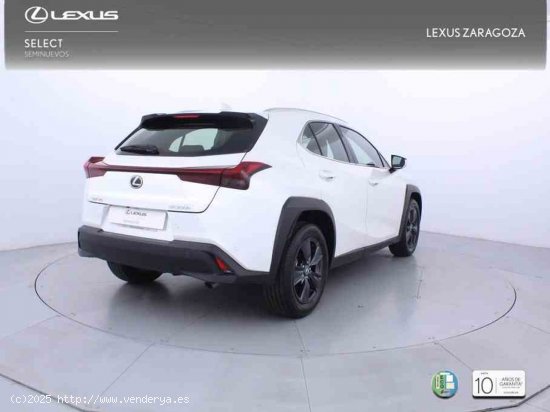 Lexus UX 2.0 300h UX Plus + CARE VO + Pack Boutique Select - Zaragoza