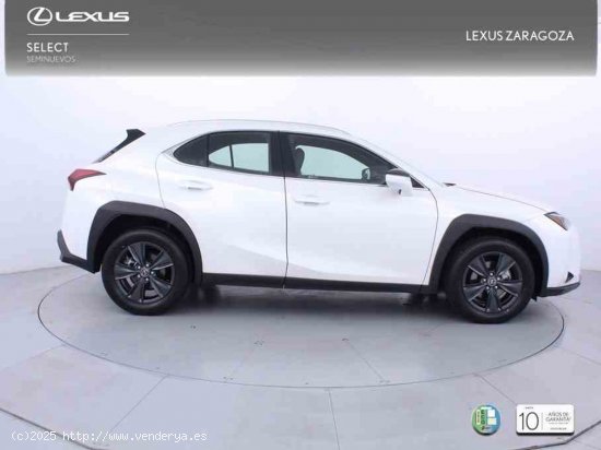 Lexus UX 2.0 300h UX Plus + CARE VO + Pack Boutique Select - Zaragoza