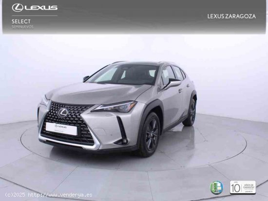  Lexus UX 2.0 300h UX Plus + CARE VO + Pack Boutique Select - Zaragoza 