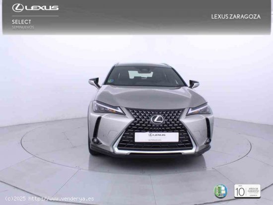 Lexus UX 2.0 300h UX Plus + CARE VO + Pack Boutique Select - Zaragoza