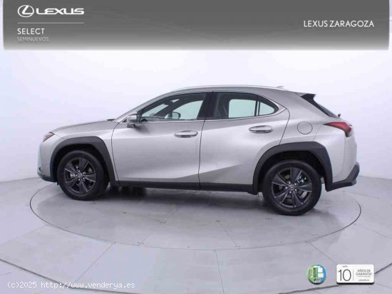 Lexus UX 2.0 300h UX Plus + CARE VO + Pack Boutique Select - Zaragoza