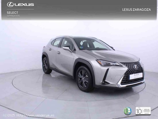 Lexus UX 2.0 300h UX Plus + CARE VO + Pack Boutique Select - Zaragoza