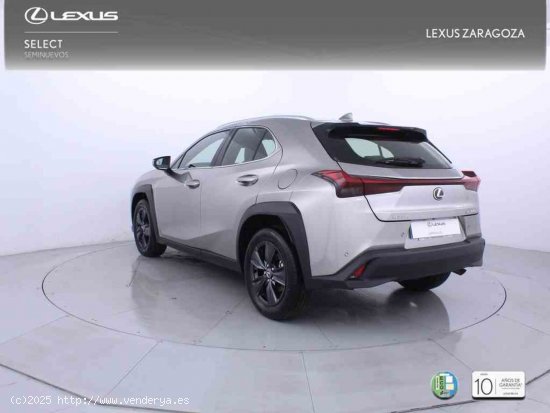 Lexus UX 2.0 300h UX Plus + CARE VO + Pack Boutique Select - Zaragoza