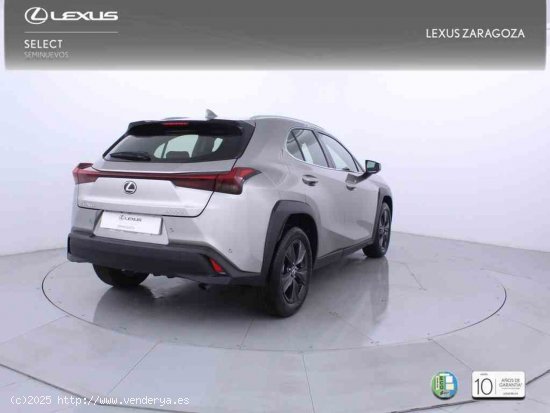 Lexus UX 2.0 300h UX Plus + CARE VO + Pack Boutique Select - Zaragoza