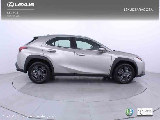 Lexus UX 2.0 300h UX Plus + CARE VO + Pack Boutique Select - Zaragoza